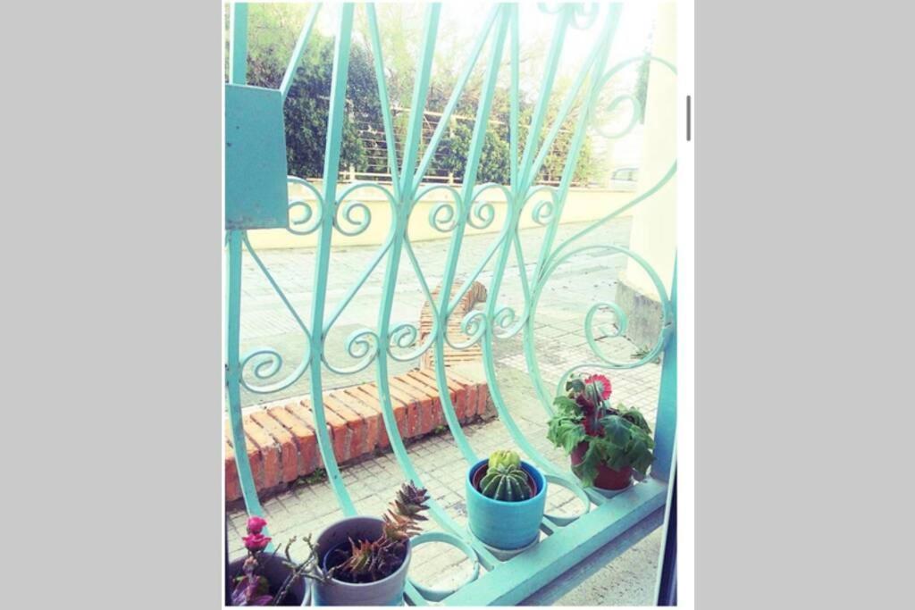 Cosy Studio Flat On The Seaside Apartment Lido di Ostia Exterior photo